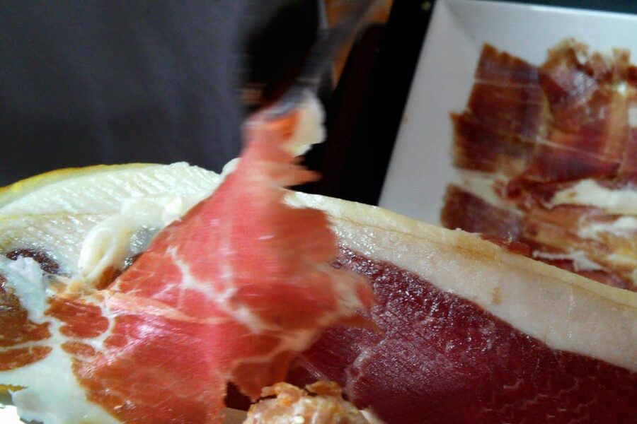 From Seville: Iberian Ham Full-Day Tour to Aracena - Aracena town and Castillo de Aracena: a real village interlude