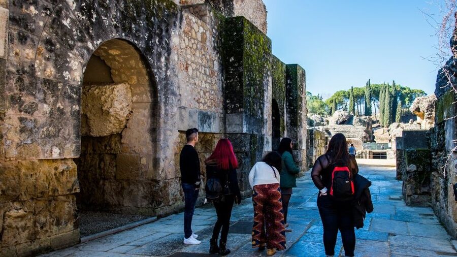 From Seville: Italica Roman City Tour - The Best Match: Who Will Enjoy This Tour Most?