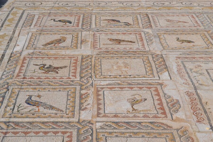 From Seville: Italica Roman City Tour - Mosaics in Italica: Why the Floor Matters More Than You Think