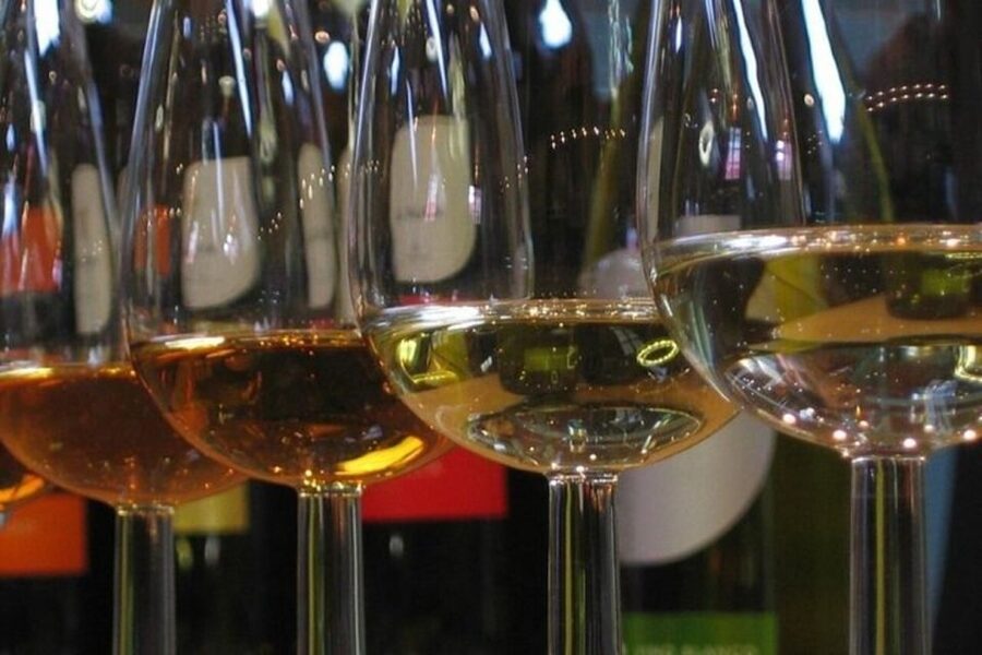 From Seville: Jerez and Cadiz Day Trip - Tips to get the most from this day trip