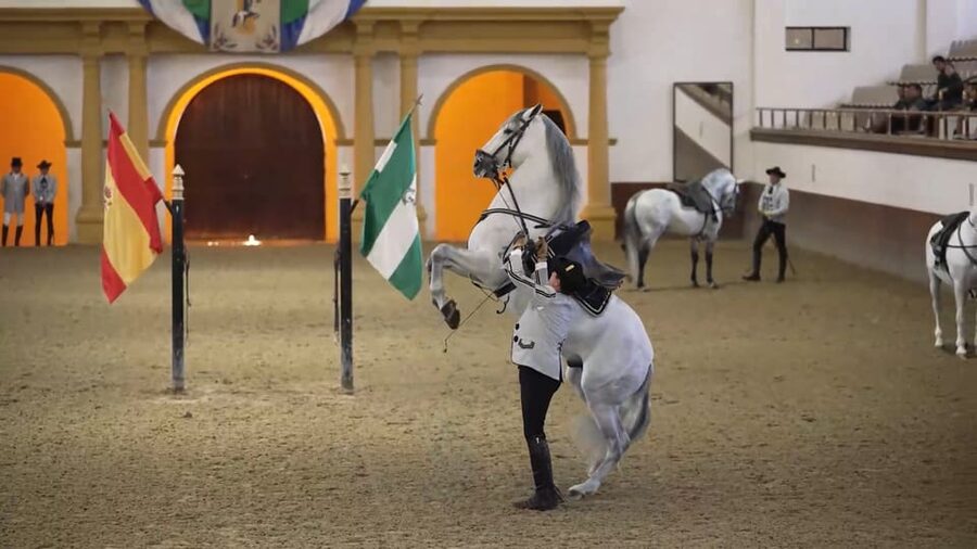 From Seville: Jerez, Cádiz and Andalusian Horses - Key highlights worth showing up for