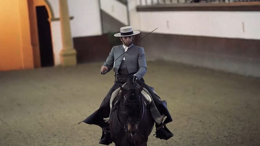 From Seville: Jerez, Cádiz and Andalusian Horses - Getting there from Seville: pickups, coach comfort, and timing