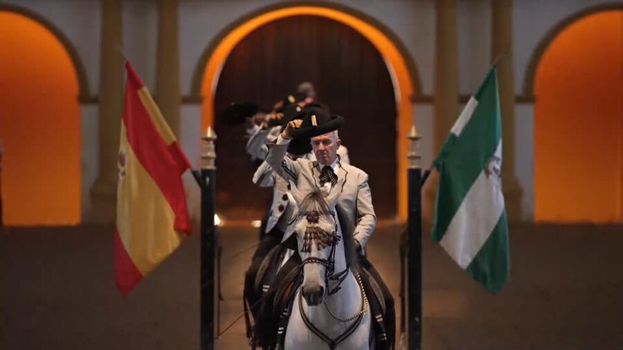 From Seville: Jerez, Cádiz and Andalusian Horses - Who this tour suits best