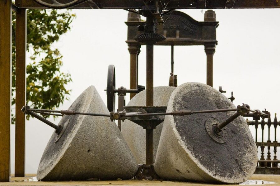 From Seville: Olive Oil Farm Tour - Key things that make this olive oil farm tour worth it