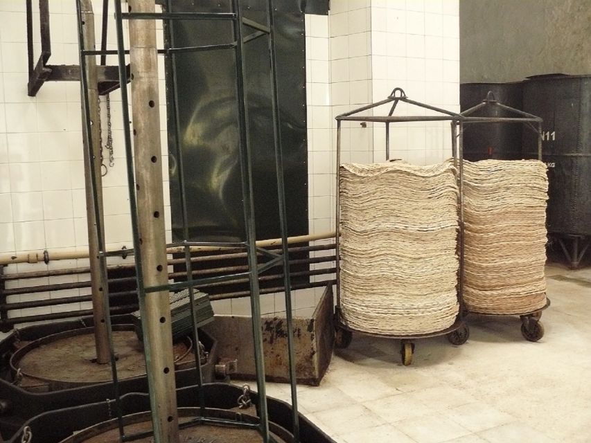 From Seville: Olive Oil Farm Tour - Who this olive oil farm tour fits best in your Seville trip