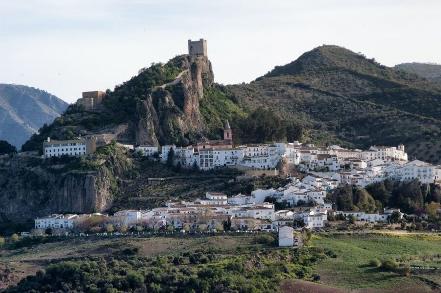 From Seville: Private Day Trip to Cádiz with Guide - Hotel pickup and a private chauffeur that keeps the day on track