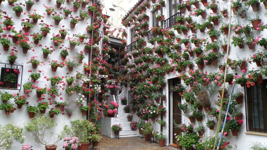From Seville: Private or Group Full-Day Cordoba Tour - Key highlights worth your attention