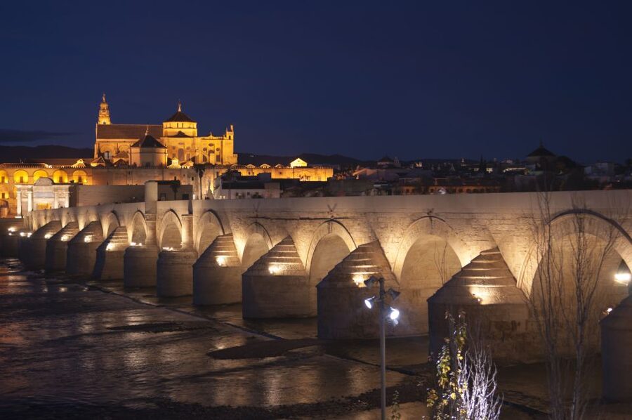 From Seville: Private or Group Full-Day Cordoba Tour - Air-conditioned ride from Seville, then straight into the highlights