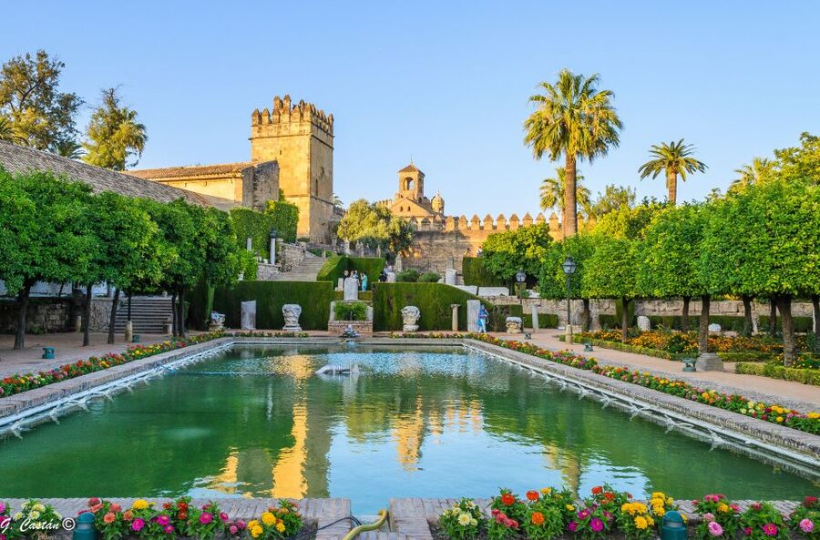 From Seville: Private or Group Full-Day Cordoba Tour - Your guide, your pace, and the reality of an 8-hour day