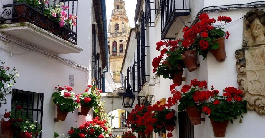 From Seville: Private Transfer to Granada and Córdoba Tour - Judería streets, synagogue stop, and patio colors