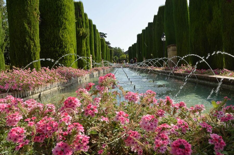 From Seville: Private Transfer to Granada and Córdoba Tour - Lunch and tapas: plan for food at your own expense