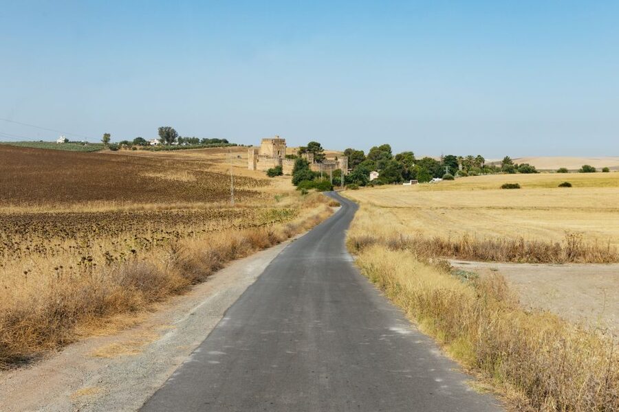 From Seville: Pueblos Blancos and Ronda Full-Day Trip - Guides make or break the day, and this one often hits