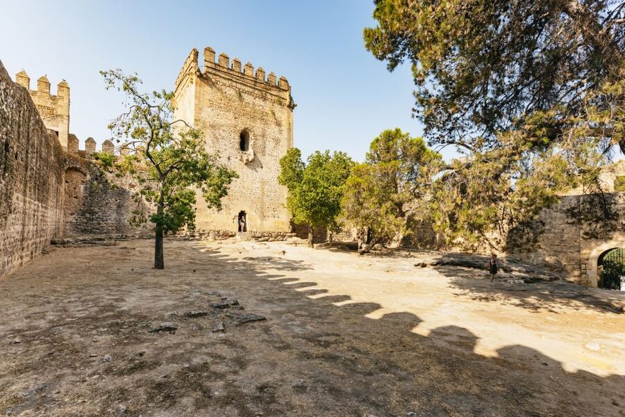 From Seville: Pueblos Blancos and Ronda Full-Day Trip - Grazalema Natural Park: vultures, flowers, and lunch time that matters