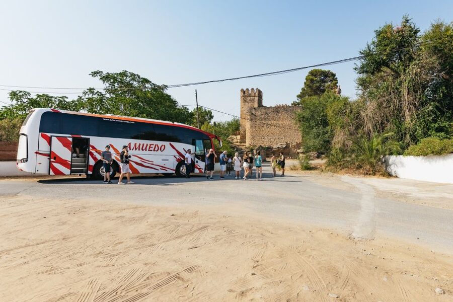 From Seville: Pueblos Blancos and Ronda Full-Day Trip - Price and value: what you get for about $52