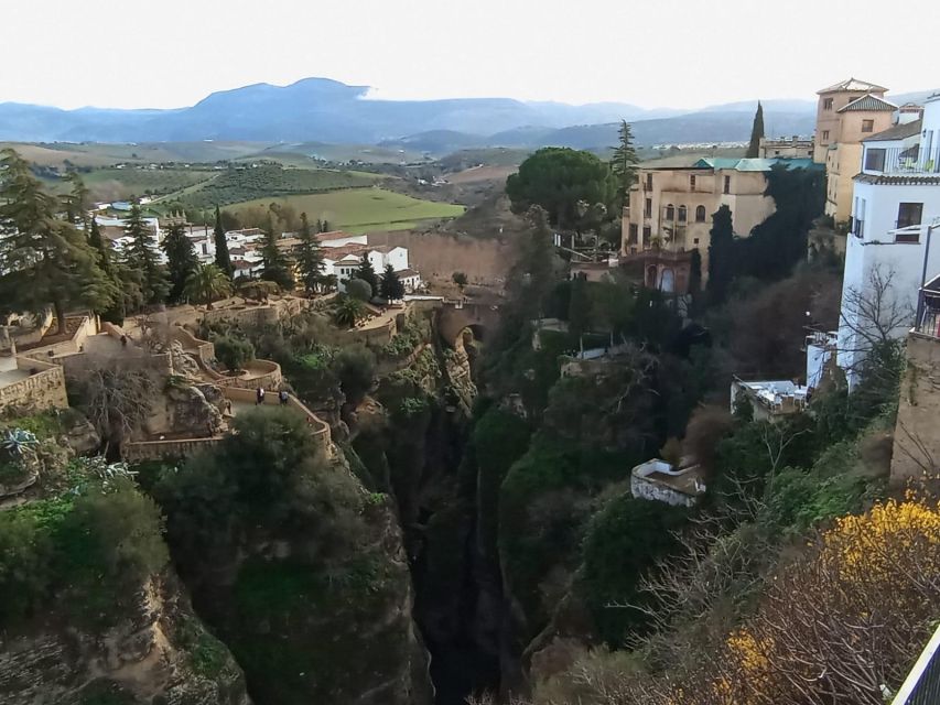 From Seville: Ronda+Setenil de las Bodegas Day Trip - Why this Seville to Ronda and Setenil day trip works