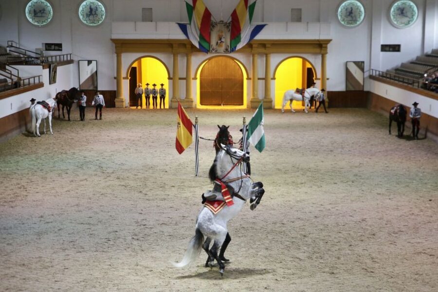 From Seville: Tour of Jerez with Horse Show & Wine Tasting - Key Things You’ll Notice on This Jerez Tour