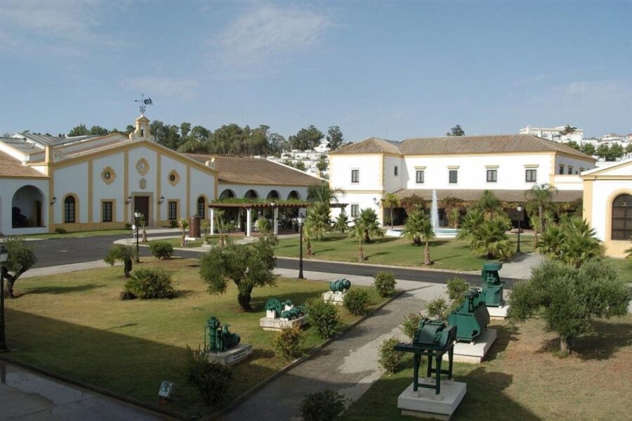 From Seville: Tour of Jerez with Horse Show & Wine Tasting - Royal School of Equestrian Art and How the Horses Dance
