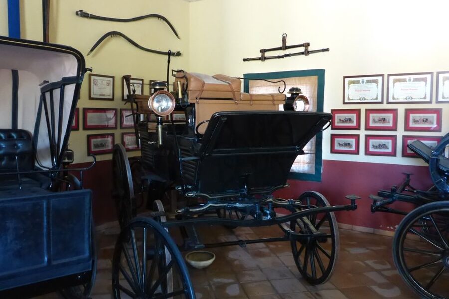 From Seville: Tour of Jerez with Horse Show & Wine Tasting - Time for the Complex and Where the Day Feels Tight