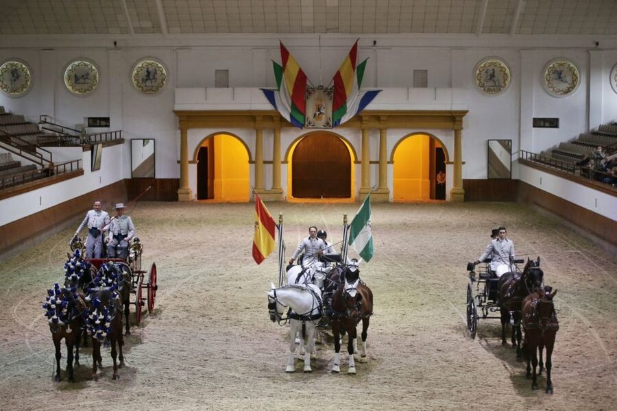 From Seville: Tour of Jerez with Horse Show & Wine Tasting - Who This Tour Is Best For (And Who Should Rethink It)