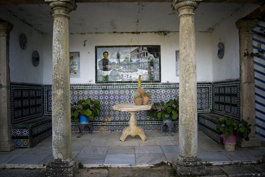 From Seville: White Villages and Ronda Full-Day Trip - Olive Oil Mill Stop: The Lesson Part, Plus the Tasting