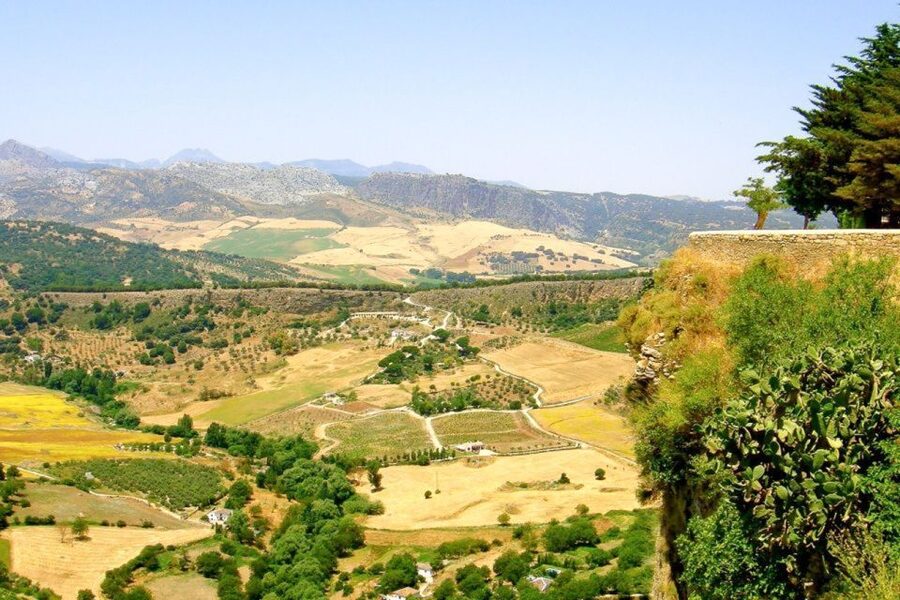 From Seville: White Villages and Ronda Tour - Guide and driver quality: Antonio, Emilio, Som, Jose Luis, and the big impact
