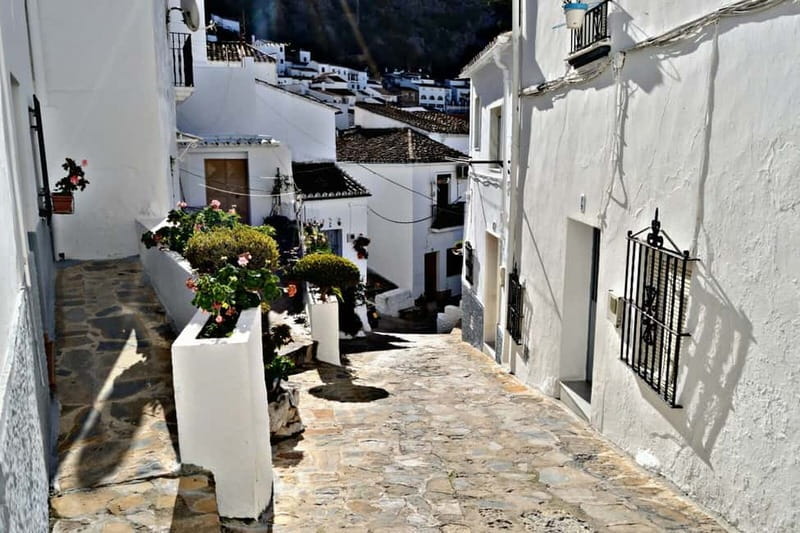 From Seville: White Villages Tour - Key highlights you’ll feel right away