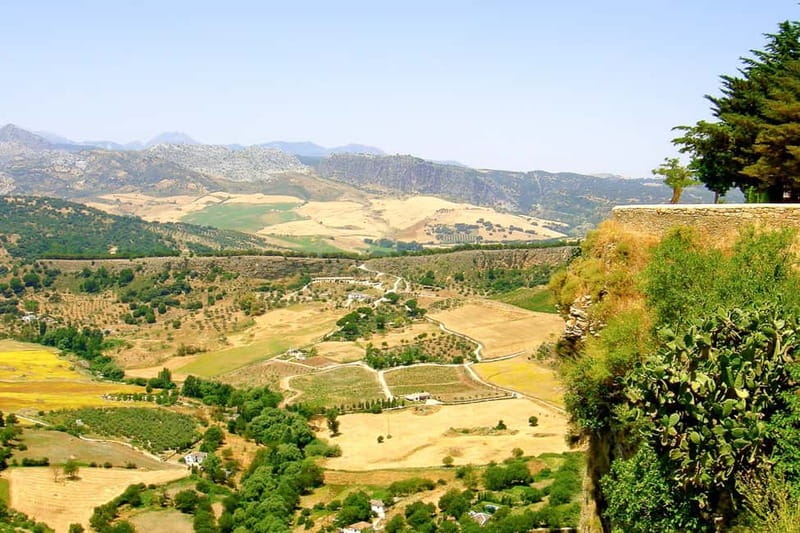 From Seville: White Villages Tour - Walking routes that match real group needs