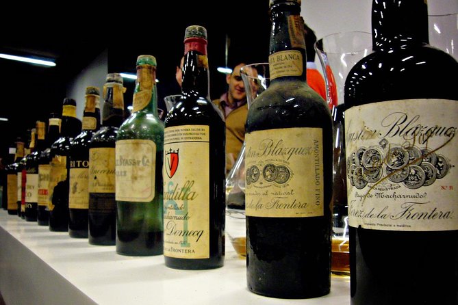 From Seville: Wine Tourism Half Day Tour - Timing and what you’ll likely be doing at each moment