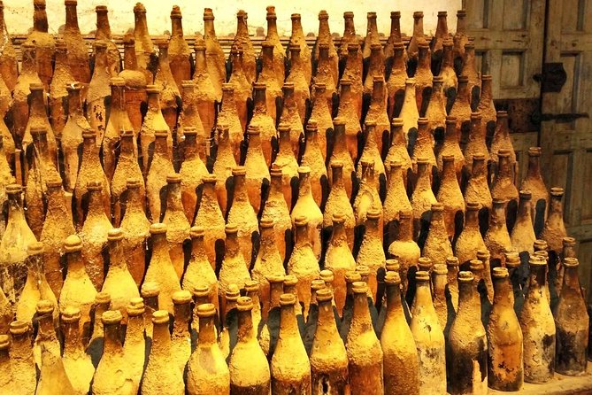 From Seville: Wine Tourism Half Day Tour - Group size, language, and how to set yourself up for a good tasting