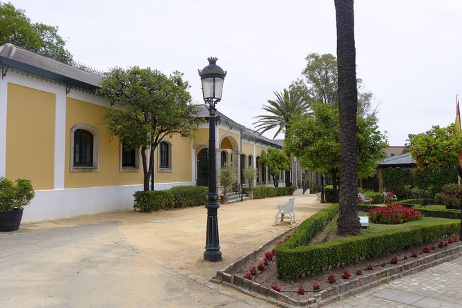 From Seville: Wine Tourism Half Day Tour - Who should book this Seville wine tour, and who should skip it