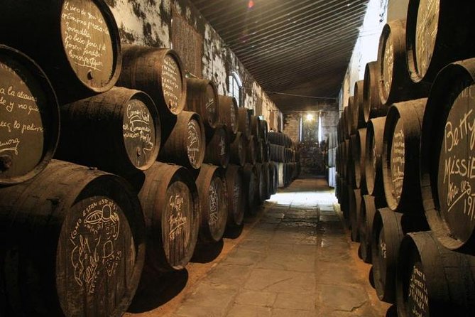 From Seville: Wine Tourism Half Day Tour - The guide and driver: why your experience depends on them