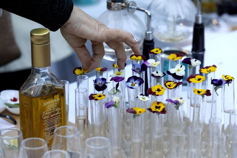 Full Córdoba tasting - Old vinegar and edible flowers, the palate curveballs