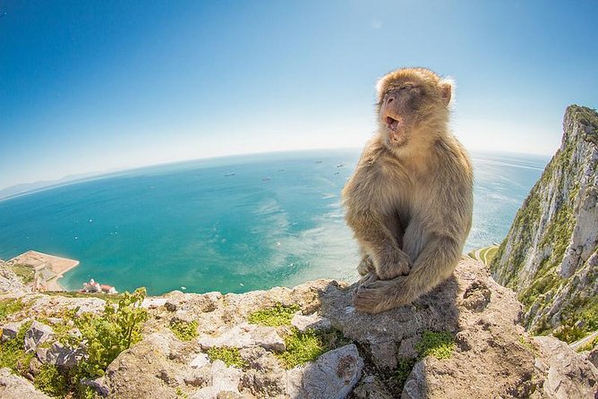Gibraltar Day Trip from Seville - Gibraltar in a Day, Done Right: The Big Picture