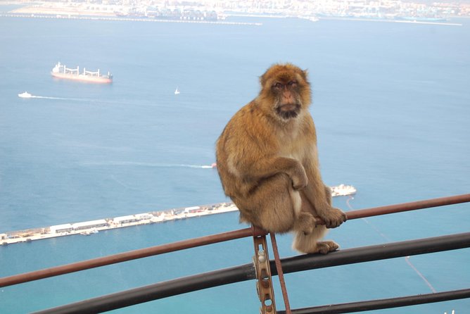 Gibraltar Day Trip from Seville - St. Michael’s Cave: A Scenic Stop You Can Actually Enjoy
