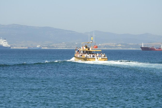 Gibraltar Dolphin Adventure - Should you book Gibraltar Dolphin Adventure?