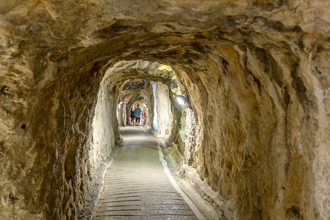 Gibraltar Inside Out Intermediate Tour 3.30hrs - The Rock of Gibraltar viewpoints, La Alameda Gardens, and quick history cues