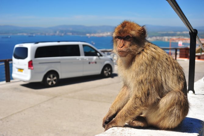 Gibraltar Inside Out Standard Tour 1.45hrs - Key highlights to know before you go