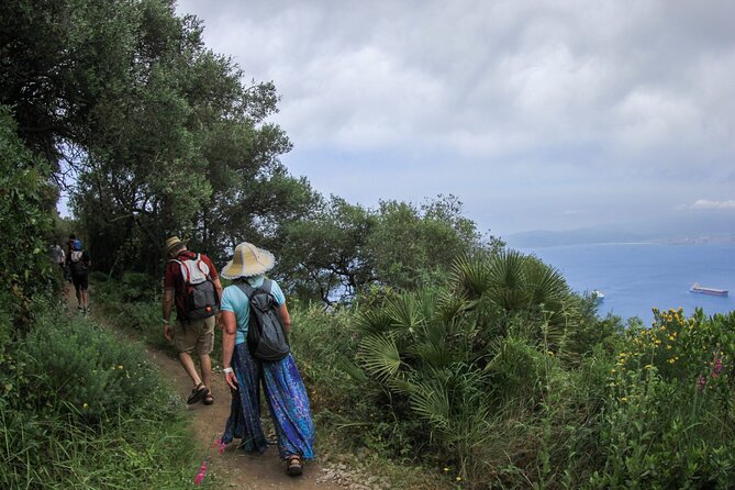 Gibraltar Nature Reserve Admission Pass to All Attractions - What Your Gibraltar Nature Reserve Pass Actually Buys