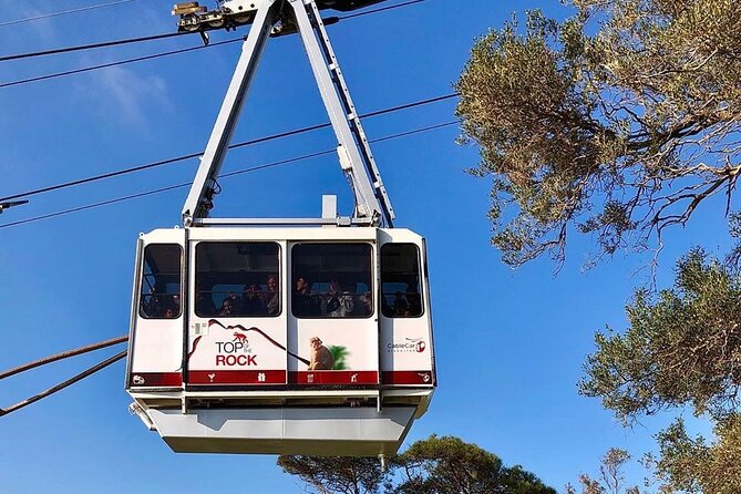 Gibraltar Pass- The Official City Pass for all attractions! - O’Hara’s Battery, Apes Den, and Moorish Castle views you can feel in your legs