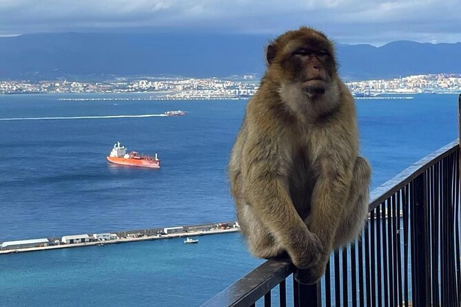 Gibraltar Private Daytrip From Sevilla - The Seville-to-Gibraltar Transfer: Comfort, Stories, and Border Reality