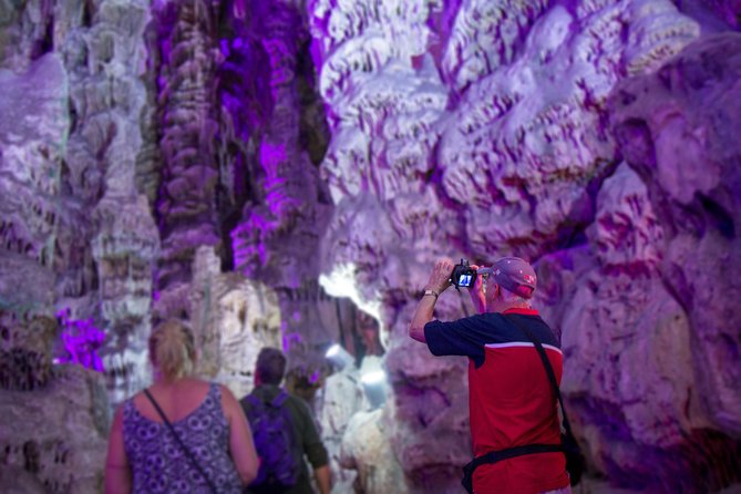 Gibraltar Rock Guided Tour - Price and seats: what $68.90 buys you, and what to watch