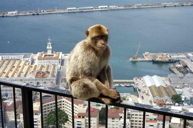 Gibraltar Sightseeing: Classic Rock Tour (Private) - Stop 4: Skywalk glass lookout for brave shoes and calm heads