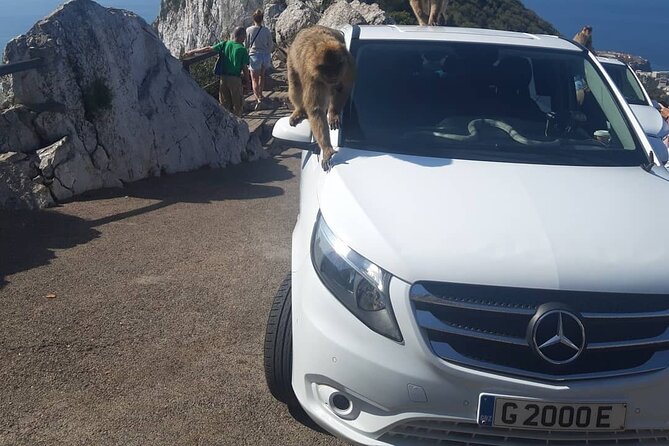Gibraltar Sightseeing : Classic Shore Excursion (Private) - Price and what you actually get for $324.96 per person
