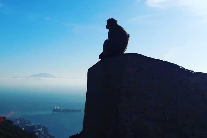 Gibraltar Sightseeing : Extended Rock Tour / Shore Excursion (Private) - Private extended Rock tour: what you really get in 2.5 hours