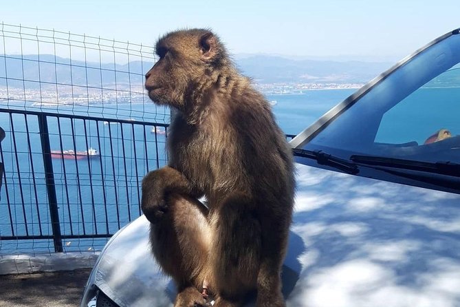 Gibraltar Sightseeing : Extended Rock Tour / Shore Excursion (Private) - Moorish Castle Complex: the Tower of Homage and Gate House