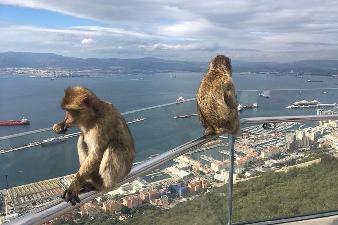 Gibraltar Sightseeing: Premium Rock Tour / Shore Excursion (Private) - Windsor Suspension Bridge and the tunnel story arc