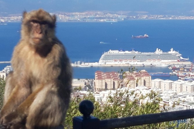 Gibraltar Sightseeing :SKYWALK AND SUSPENSION BRIDGE TOUR (Private) - Great Siege Tunnels: a change of scenery below ground