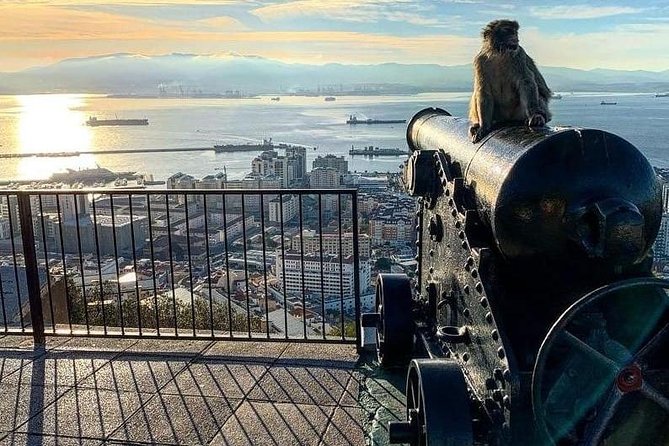 Gibraltar Sightseeing :SKYWALK AND SUSPENSION BRIDGE TOUR (Private) - Smart tips so the Skywalk and bridge feel comfortable