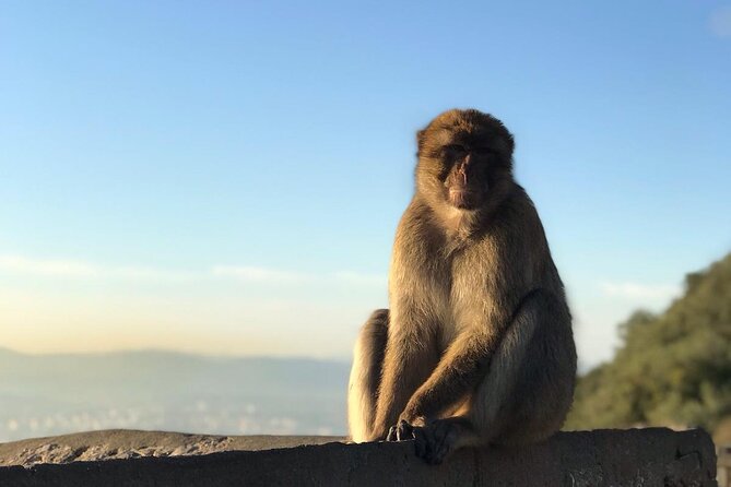 Gibraltar Sightseeing: Sunset Panoramic and Monkey Tour - Stop 3: Princess Caroline’s Battery and the runway viewpoint