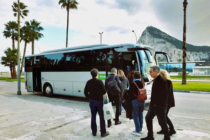 Gibraltar with Rock of Gibraltar & St. Michael Cave from Seville - Guides and group size: how the day stays smooth